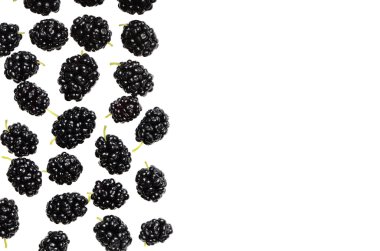 Olgun dut çilek beyaz bir arka plan üzerinde