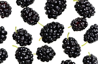 Olgun dut çilek beyaz bir arka plan üzerinde