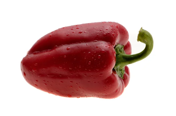 Röd paprika isolerad på en vit bakgrund med vattendroppar — Stockfoto