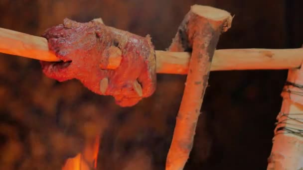 Roosteren van rood vlees op een stok boven een kampvuur — Stockvideo