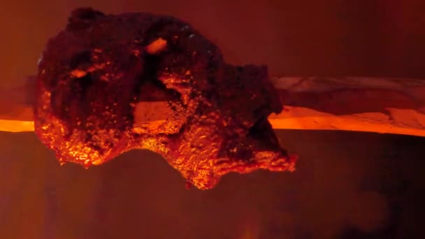 Arrostimento di carne su un bastone direttamente sopra un fuoco di campo — Video Stock