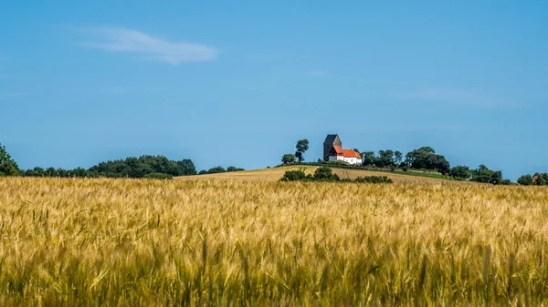 Ortaçağ pastoral Kilisesi, çavdar alanının üstündeki bir tepede oturan Rutsker 