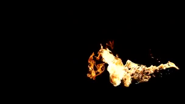 Gas fire flareon black background — Stock Video