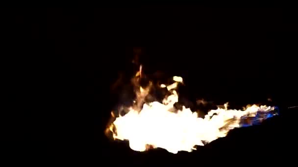 Gas fire flareon black background — Stockvideo