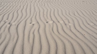 Soluk adımlarla sakinleştirmek kum