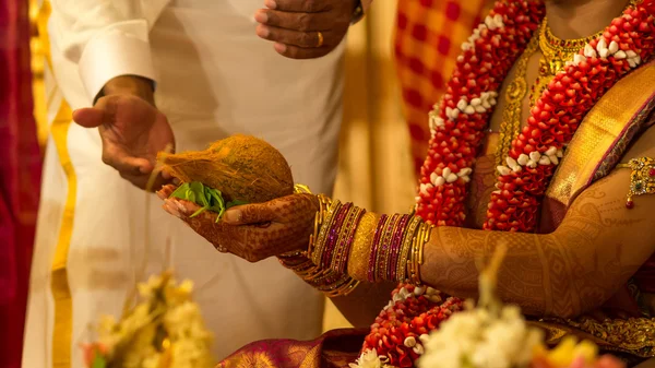 Kokosnuss wird in die Hände einer südindischen Hindu-Braut gelegt — Stockfoto