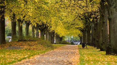 Frederiksberg, Danimarka sırasında 