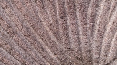 Millstone spiral desenli