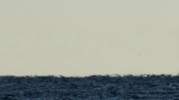 Um mar ártico cintilante de calor com aves marinhas voando à distância — Vídeo de Stock