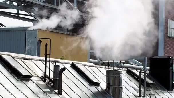 Dampf steigt aus einer alten Walölraffinerie auf, die Ester herstellt, Handfilme — Stockvideo