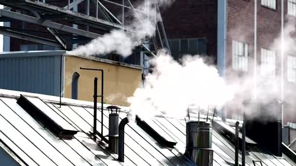 Vapor subindo de uma antiga refinaria de óleo de baleia fazendo ésteres, imagens de mão — Vídeo de Stock