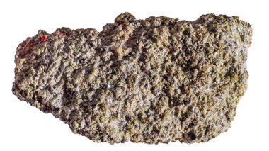 Mars göktaşı Zagami