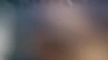 Damat ve seyir çevresinde yalan Amur leoparı