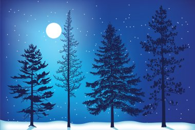 Kış ağaçlar gecesi