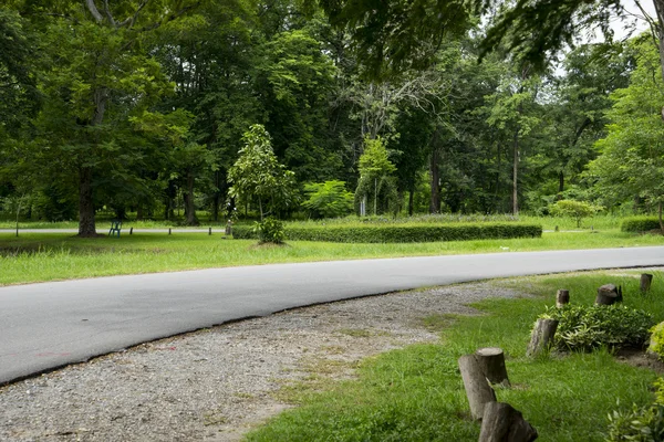 Parktaki yol. — Stok fotoğraf