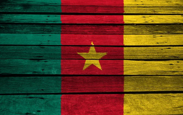Vlag van Kameroen op hout achtergrond — Stockfoto