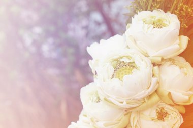 Lotus On sweet Filter