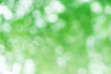 Yeşil bokeh ışık