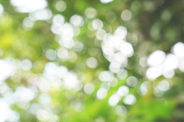 yeşil arka plan beyaz bokeh