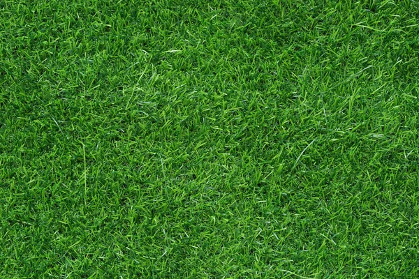 Falso campo de grama verde fundo — Fotografia de Stock