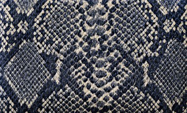 Yılan deri arka plan dokusu