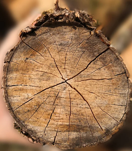 Große Holzscheite Mit Verschwommenem Hintergrund — Stockfoto