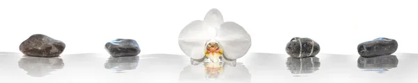 Orquídea Branca Pedras Zen Água Com Reflexos — Fotografia de Stock