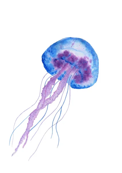 Medusas marinhas. Ilustração aquarela sobre um fundo branco. — Fotografia de Stock