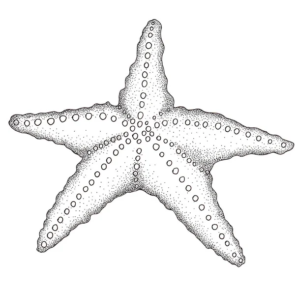 A starfish. Graphics with dots on a white background. — Stock Fotó