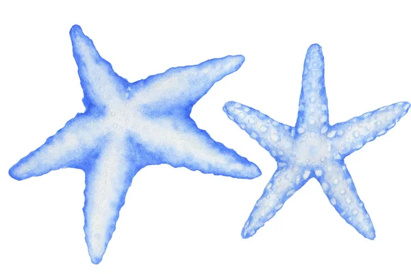 Un set di due stelle marine in acquerello. — Foto Stock
