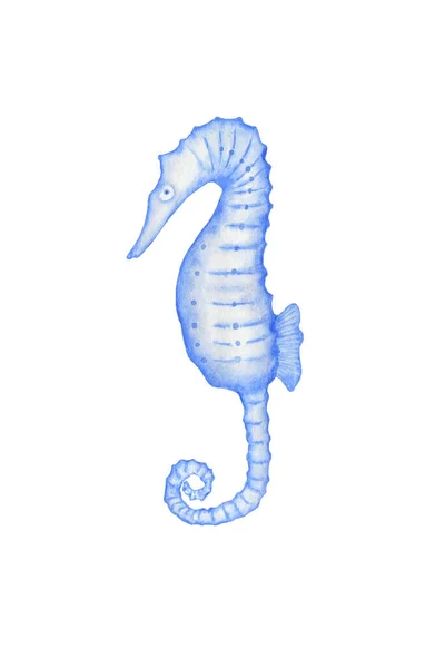 Seahorse akvarell illusztráció egy fehér háttér. — Stock Fotó