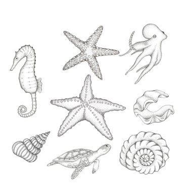 Denizcilik takımı. Denizci koleksiyonu. Deniz elementleri, sualtı dünyası. Deniz kabukları, deniz yıldızı, deniz atı, ahtapot, deniz kaplumbağası..