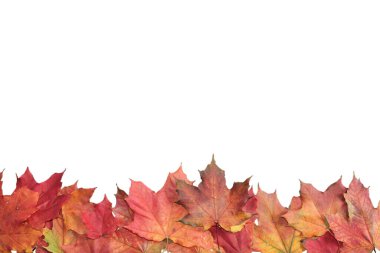 Sonbahar akçaağaç yapraklarından yapılmış yatay çerçeve. Metin için boşluk.