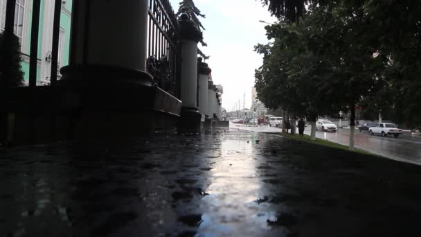 Rain Dripping Sidewalk — Stok video