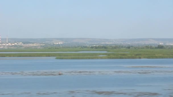 Zicht Vanuit Het Treinraam Rivier — Stockvideo