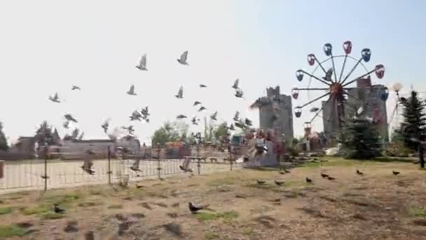 Pombos Decolam Parque Diversões Uma Cidade Provincial Rússia — Vídeo de Stock