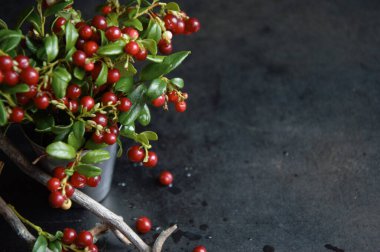 Karanlık bir arka planda yabanmersinleri.