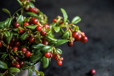 Karanlık bir arka planda yabanmersinleri.