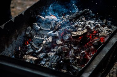 Kamp ateşi ve barbeküyle doğada piknik.