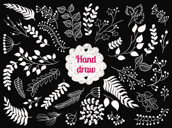 Set van vintage floral vectorelementen. — Stockvector