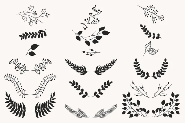 Conjunto de vector vintage elementos florales . — Archivo Imágenes Vectoriales
