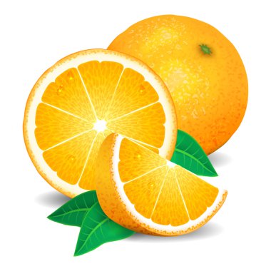 Taze portakal meyve, portakal parçaları. Gerçekçi portakal, vektör