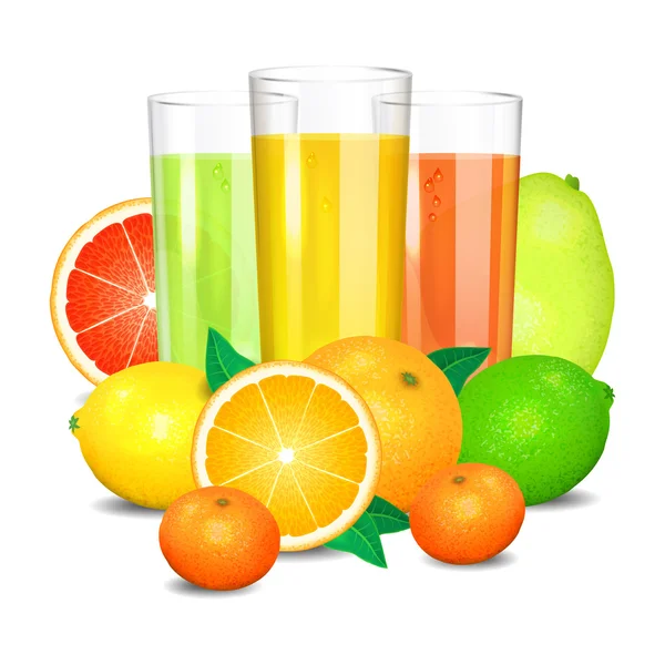 Świeży sok z owoców cytrusowych i owoce. — Wektor stockowy