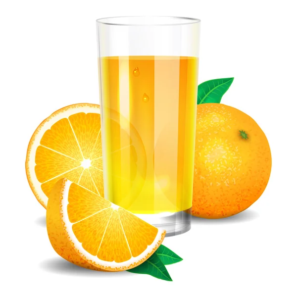 Fresh orange juice and pieces of orange, citrus juice — Stock Vector