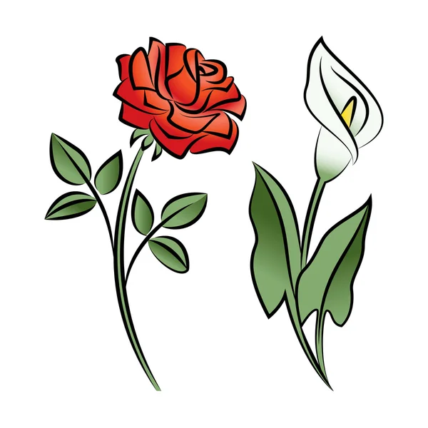 Satz von zwei umrandeten Blüten. Calla und rose — Stockvektor