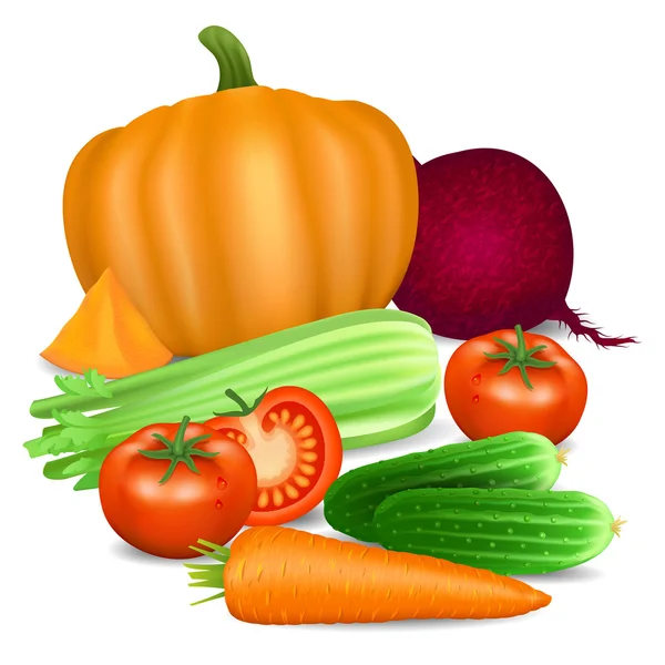 Conjunto de verduras. Tomate, zanahoria, calabaza, pepino, apio — Vector de stock