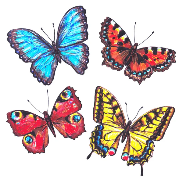 詳細な手には、マーカーの蝶が描かれました。スケッチ蝶のセット — ストック写真