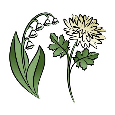 İki Seviyelendirilmiş çiçek kümesi. Lilyum ve krizantem