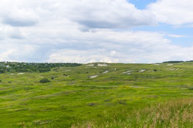 Yeşil tarlaların ve bulutlu gökyüzünün yaz manzarası. Kırsal alan.