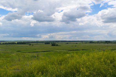 Yeşil tarlaların ve bulutlu gökyüzünün yaz manzarası. Kırsal alan.
